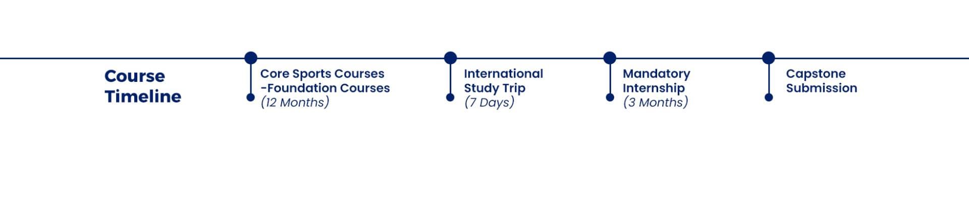 Course timeline: foundation courses, international study trip, mandatory internship, and capstone submission